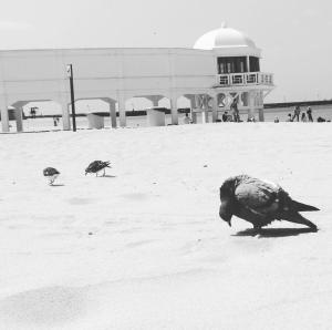 17990927_10211489018408578_666637038309466496_n