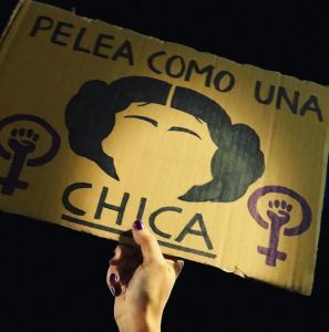 28951743_10214236287248582_2501797397558287712_n